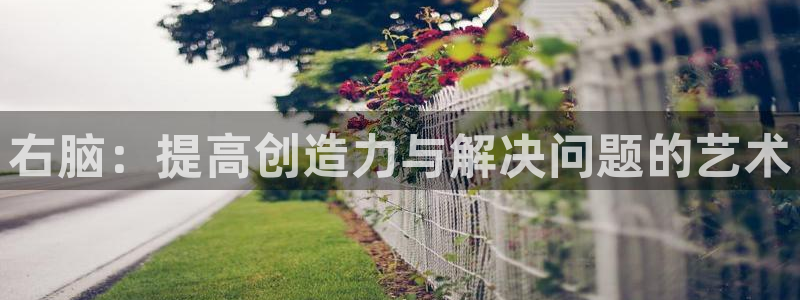 bbin视讯：右脑：提高创造力与解决问题的艺术