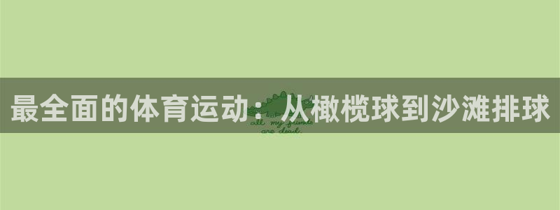 bbin视讯游戏平台：最全面的体育运动：从橄榄球到沙滩排球