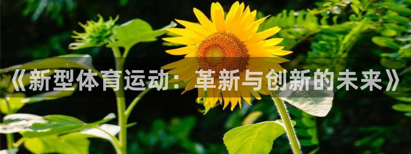 bbin视讯：《新型体育运动：革新与创新的未来》