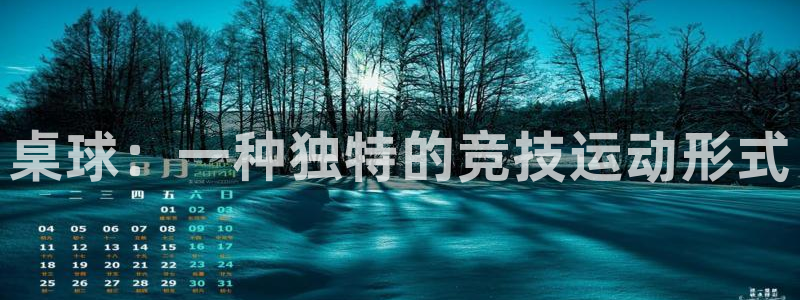 bbin视讯：桌球：一种独特的竞技运动形式