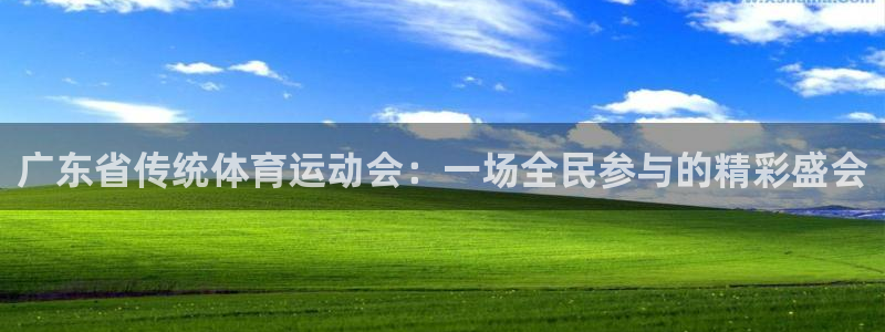 bbin视讯游戏平台：广东省传统体育运动会：一场全民参与的精彩盛会