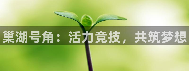 bbin视讯下：巢湖号角：活力竞技，共筑梦想