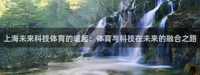bbin视讯游戏平台：上海未来科技体育的崛起：体育与科技在未来的融合之路