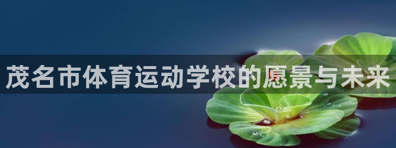 bbin视讯游戏平台：茂名市体育运动学校的愿景与未来