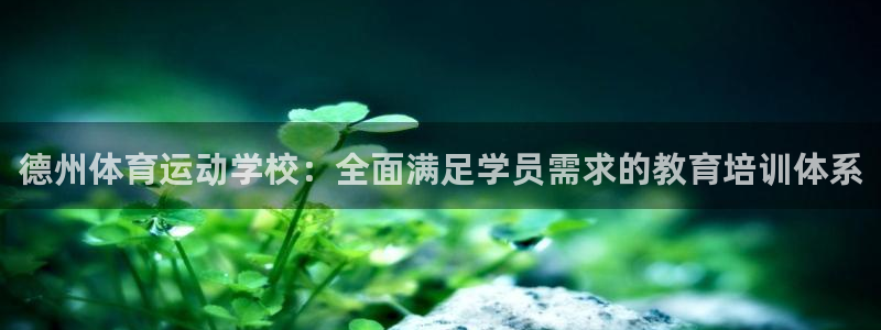 bbin视讯游戏平台：德州体育运动学校：全面满足学员需求的教育培训体系