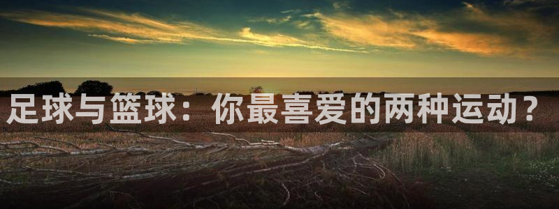 bbin视讯游戏官网：足球与篮球：你最喜爱的两种运动？
