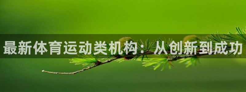 bbin视讯游戏官网：最新体育运动类机构：从创新到成功