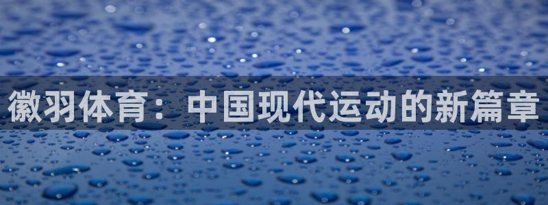 bbin视讯下：徽羽体育：中国现代运动的新篇章