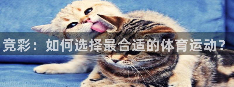 bbin视讯下：竞彩：如何选择最合适的体育运动？