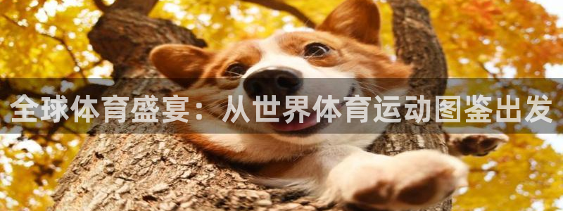 bbin视讯：全球体育盛宴：从世界体育运动图鉴出发
